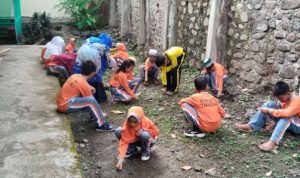 IMG_ORG_1733812142453